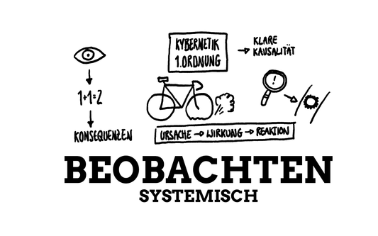 Was bedeutet Beobachten im systemischen Kontext