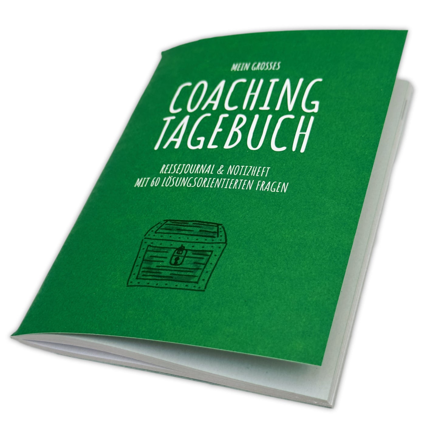 Grosses Coaching Tagebuch für Notizen und Erkenntnisse