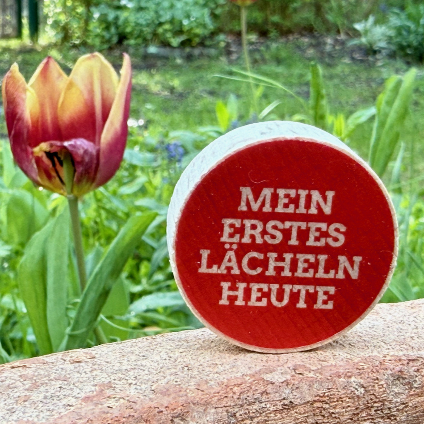 Holzstein mit Aufdruck "mein erstes Lächeln heute" für Einstiegsrunden